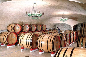 Coldiretti: +9,2%, così il boom dell'export delle bottiglie "made in Italy". Nonostante calo del 5,5% della produzione che è Docg, Doc e Igt per oltre la metà (58%)