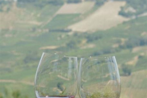 L’INTERVENTO - EDOARDO NARDUZZI, SPECIALIZZATO IN “WINE ECONOMICS” ALL’UNIVERSITÀ DI BORDEAUX, NARDUZZI, GIORNALISTA PROFESSIONISTA E DOTTORE COMMERCIALISTA: “FRA GLI ASSET LIQUIDI IL VINO È IL PIÙ REDDITIZIO” ...