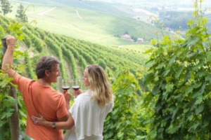 ISTAT: 8 MILIONI DI ITALIANI A RISCHIO ALCOL IN 2011, IN CALO. CODACONS TORNA A CHIEDERE &ldquo;WARNING&rdquo; PER LA SALUTE IN ETICHETTA, MA 66% APPASSIONATI DI VINO DICE NO SECONDO UN SONDAGGIO WINENEWS/VINITALY. COLDIRETTI: CONSUMI VINO DIMEZZATI IN 30 ANNI