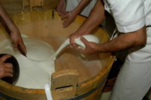 “BENE IL GOVERNO. E CON MISURE SPECIFICHE PER L’AGRICOLTURA POSSONO ARRIVARE 100.000 POSTI DI LAVORO NEL SETTORE”. A DIRLO MARIO GUIDI, PORTAVOCE DI AGRINSIME (CONFAGRICOLTURA, CIA-CONFEDERAZIONE ITALIANA AGRICOLTORI ED ALLEANZA DELLE COOPERATIVE)