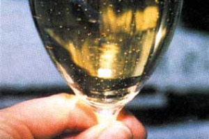 IL GALATEO PER LE 'BOLLICINE' DI QUALITA'