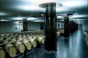 CA&#8217; MARCANDA MUOVE I PRIMI PASSI: ANGELO GAJA PRESENTA LA SUA AZIENDA, I VINI E LA FILOSOFIA CHE SVILUPPERA&#8217; NEL BOLGHERESE