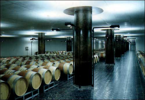 Le barrique di Ca Marcanda