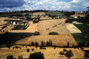 La terra arabile più cara d’Europa? In Italia con la Liguria che si classifica come la prima Regione europea dai prezzi più alti (108.000 euro). Così uno studio Eurostat. Coldiretti: “è il principale ostacolo all’ingresso dei giovani in agricoltura”