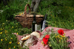 I PONTI DI PRIMAVERA “RISVEGLIANO” LA VACANZA IN CAMPAGNA. MA VINCE SOLO LA RISTORAZIONE (350.000 PRESENZE), I SOGGIORNI NON SUPERANO QUOTA 130.000 E IN 3 CASI SU 4 NON SI VA OLTRE LA SINGOLA NOTTE. COSÌ LA CIA - CONFEDERAZIONE ITALIANA AGRICOLTORI