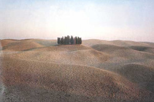 IN TOSCANA LA CAMPAGNA VA FORTE ANCHE IN DICEMBRE: TUTTI ESAURITI GLI AGRITURISMI E BOOM DEL TURISMO IN CANTINA. AD &#8220;AGRITOETOUR&#8221; (6/8 DICEMBRE) A AREZZO SI PARLA DI ENOTURISMO E STRADE DEL VINO