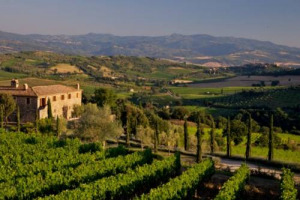 IL BRUNELLO DI MONTALCINO BRILLA ANCHE NELLE OMBRE DELLA CRISI: +10-15% IL FATTURATO 2011 E &ldquo;GOOD FEELING&rdquo; PER IL 2012 (MA SOLO GRAZIE ALL&rsquo;EXPORT). INDAGINE WINENEWS TRA 20 DELLE REALT&Agrave; (PICCOLE, MEDIE, GRANDI) PI&Ugrave; RAPPRESENTATIVE DEL TERRITORIO