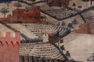 SI CHIAMANO GORGOTTESCO E TENERONE, MAMMOLO, ZUCCACCIO, SALAMANNA, E IL LORO TERROIR E&rsquo; LA CITTA&rsquo;: SONO I PIU&rsquo; ANTICHI VITIGNI CHE SIENA RISCOPRE DENTRO LE MURA E NEGLI SPAZI RURALI SUBURBANI. E&rsquo; IL &ldquo;SENARUM VINEA&rdquo;, PROGETTO UNIVERSIT&Agrave;-CITT&Agrave; DEL VINO