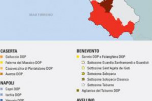 Tanti vitigni e territori intrecciati con la storia, e una qualit&agrave; che cresce, ed &egrave; sempre pi&ugrave; legata ai suoli vulcanici: i numeri di &ldquo;Campania Stories&rdquo; (e della Basilicata), e le riflessioni (e gli assaggi) di Monica Larner (&ldquo;The Wine Advocate&rdquo;)