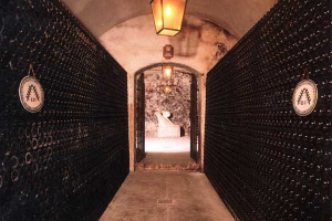 IL PROFESSOR FABIO TAITI (CENSIS): GRAVE RISCHIO PER LE AZIENDE VITIVINICOLE ITALIANE. LA LORO POLVERIZZAZIONE NE PENALIZZA LA FORZA COMPETITIVA E LE RENDE FACILMENTE ACQUISTABILI DALLE GRANDI MULTINAZIONALI DEL VINO