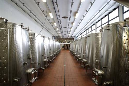 La cantina di Monte delle Vigne
