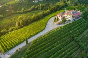 Dall&rsquo;Amarone al Prosecco Docg: Masi Agricola Spa, griffe del vino veneto e della Valpolicella, entra come socio di maggioranza (60%) nell&rsquo;azionariato di Canevel Spumanti Spa, in joint venture con la famiglia Caramel (40%)