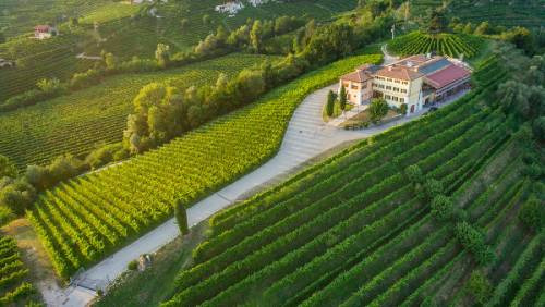 Da Amarone a Prosecco docg: mister Masi, Sandro Boscaini, entra in maggioranza nell’azionariato di Canevel Spumanti