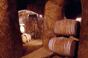 DOPO IL METANOLO NASCE IL VINO ITALIANO … NON SOLO HA RECUPERATO LA CREDIBILITÀ, POLVERIZZATA DOPO LA TRAGEDIA (26 MORTI E TANTE PERSONE RIMASTE CON HANDICAP), MA SI E’ POI IMPOSTO IN TUTTI I MERCATI DEL MONDO