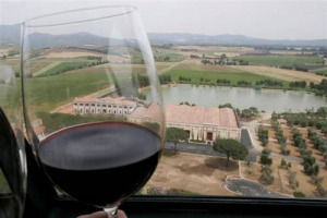 IL CONSUMO DI VINO IN ITALIA SCENDE, PER LA PRIMA VOLTA, SOTTO I 40 LITRI PROCAPITE. FEDAGRI: &ldquo;ESPORTARE &Egrave; OBBLIGO. NEL SEMESTRE 2010 +7,6%. BENE IL SUD: PUGLIA E CAMPANIA. BOOM EXPORT EXTRA-UE. FEDAGRI: &ldquo;TROPPO VINO IN GIACENZA, E GLI AIUTI UE &hellip;&rdquo;