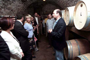 “CANTINE APERTE” 2007: ARRIVA IL “VINOFONINO” DEDICATO AGLI APPASSIONATI (CON WINENEWS PARTNER DEL MOVIMENTO TURISMO DEL VINO) … LE INIZIATIVE, IN AZIENDA E REGIONE PER REGIONE, DELL’EVENTO SIMBOLO DELL’ENOTURISMO ITALIANO, DI SCENA IL 27 MAGGIO