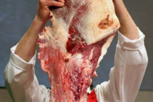 #NoVeganAllaRiscossa: il 95% degli italiani mangia carne, nonostante gli allarmismi, preferisce quella “Doc” di razze storiche (+52% in 15 anni) e l’81% col bel tempo se la gusta alla griglia. Da Coldiretti, il vademecum per la grigliata perfetta