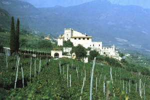 IMU: PER I TERRENI AGRICOLI VERSATI 534 MILIONI DI EURO, 127 MILIONI PIÙ DEL PREVISTO. NON DISPONIBILI DATI SU FABBRICATI STRUMENTALI. MARINI (COLDIRETTI) CHIEDE CHIAREZZA: “RENDERLI NOTI PER RISPETTARE DL SALVA ITALIA SULLA MODIFICA DELL’ALIQUOTA”