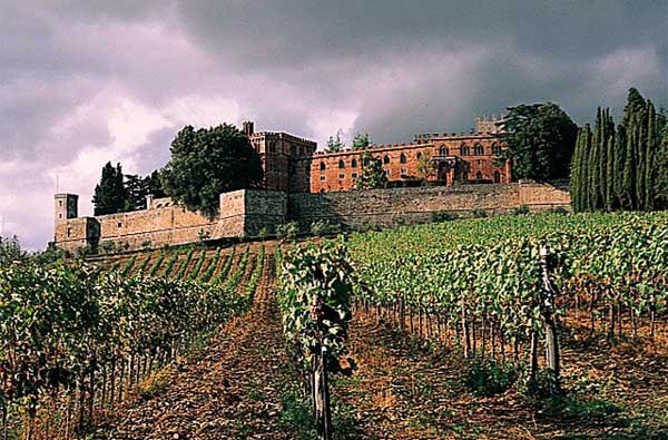 L’ultima novità nel Registro Nazionale delle varietà di vite, i cloni di Sangiovese di Brolio