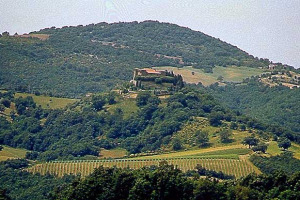 A Scansano alla scoperta del &#8220;grande&#8221; Morellino