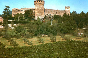 VINI DEI PREMIER: UN LIBRO SVELA I PREFERITI: BRUNELLO PER D'ALEMA ED AMATO, MARSALA PER ANDREOTTI E CRAXI, CHIANTI E CERVARO DELLA SALA PER BERLUSCONI