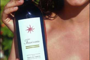 CASTELLO DEL TERRICCIO: I RICONOSCIMENTI INTERNAZIONALI