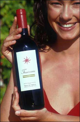 Castello del Terriccio: i vini rossi