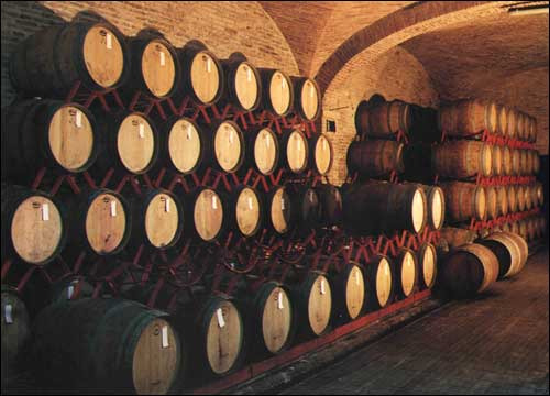 La bottaia del Castello del Terriccio