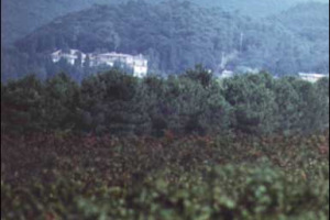 CASTELLO DEL TERRICCIO: LA SUA STORIA MILLENARIA