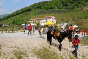 FIERACAVALLI N. 113: UN MADE IN ITALY AGRICOLO DA 6,5 MILIARDI DI EURO. L’UNICA FIERA IN EUROPA A VALORIZZARE TUTTE LE BIODIVERSITÀ ESISTENTI ED I LIBRI GENEALOGICI DI RAZZA