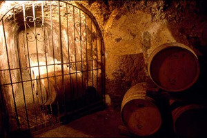 L'INTERVENTO - “EVOLUZIONI E RIVOLUZIONI NEL MERCATO DEL VINO” DEL PROFESSOR ZAMPI, DOCENTE DEL MASTER IN MANAGEMENT E MARKETING DELLE IMPRESE DEL VINO UNIVERSITA’ DI FIRENZE