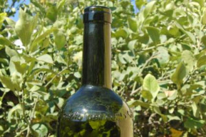 FATTA IN SICILIA, CON LA SICILIA, PER LA SICILIA. ECCO &ldquo;CENTO PER CENTO SICILIA&rdquo;, IL PROGETTO DI O-I, AZIENDA DI CONTENITORI IN VETRO: UNA NUOVA BOTTIGLIA A KM 0 IN CUI TUTTI GLI ELEMENTI CHE LA COMPONGONO HANNO RADICI COMUNI CHE NASCONO IN SICILIA