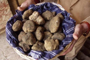 “UN TARTUFO PER LA PACE” ATTUALE COME NON MAI: IL PREMIO INTERNAZIONALE DEL COMUNE DI SAN GIOVANNI D’ASSO AL COMUNE DI LAMPEDUSA “PER L’INCREDIBILE RUOLO UMANITARIO” NELL’ACCOGLIENZA DEI MIGRANTI ED AL MINISTRO CÉCILE KYENGE