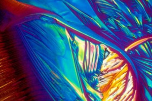 Se l&rsquo;Italia ha stanziato 21 milioni di euro per lo studio del genoma della vite e di altre piante, in Champagne il Comit&eacute; incrocia le 7 variet&agrave; ammesse dalla denominazione con super variet&agrave; resistenti, per avere, entro il 2030, i cloni del futuro