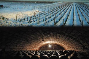 MENO USA, PIU’ PAESI DELL’EST: LA CORSA VERSO ORIENTE DELL’EXPORT DI CHAMPAGNE. L’ITALIA (+11%) SCALA LA CLASSIFICA E SUPERA, PER LA PRIMA VOLTA, I 10 MILIONI DI BOTTIGLIE