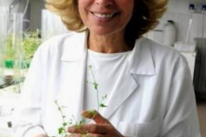 LA PONTIFICIA ACCADEMIA DELLE SCIENZE ACCETTA “LAICAMENTE” GLI OGM. PARLA LA GENETISTA CHIARA TONELLI: “SFAMARE 9 MILIARDI DI PERSONE CON UN AGRICOLTURA MENO ESTESA, CON MENO CHIMICA, MA PIÙ PRODUTTIVA”