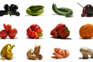 PUÒ UNA “MATERIA” DEPERIBILE COME IL CIBO DIVENTARE OPERA DI DESIGN? È LA SFIDA DI “FOOD CULTURE: EATING BY DESIGN”, MOSTRA MULTI-DISCIPLINARE DI SCENA A EINDHOVEN (OLANDA, FINO AL 30 SETTEMBRE), IDEATA DALL’ISTITUTO PREMSELA