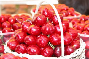 “SCACCO MATTO” ALLA CILIEGIA: MAROSTICA (VICENZA) ED IL TERRITORIO D'ELEZIONE DI UNO DEI PRODOTTI IGP PIU’ AMATI E GOLOSI, CELEBRANO LA STAGIONE DELLA “ROSSA REGINA” DI PRIMAVERA, CON UN RICCO CALENDARIO DI EVENTI FINO A GIUGNO