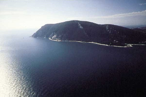 UN CONCORSO PER IL MIGLIOR VINO DA ABBINARE AL PESCE