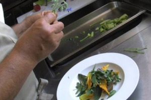 Borragine, malva, finocchietto selvatico, ortica, tarassaco e così via: sono solo alcune delle erbe spontanee commestibili, passione di un esercito di 100.000 raccoglitori, protagoniste di “Mangiasano” 2015, il 23 maggio da Expo alle piazze d’Italia