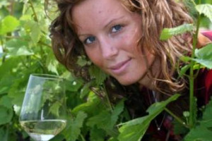 Oiv: vigneto mondiale a 7,5 milioni di ettari nel 2016, in calo la produzione (267 milioni di ettolitri, -3%), stabili i consumi (242 milioni di ettolitri). Negli scambi volumi a 104 milioni di ettolitri (-1,2%), valore a 29 miliardi di euro (+2%)