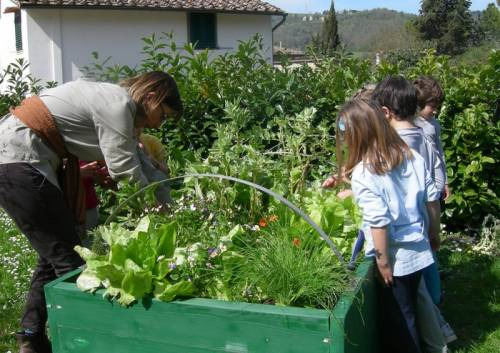 Bambini a scuola di educazione al gusto