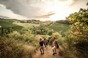 LE ULTIME TENDENZE DEL TURISMO ENO-GASTRONOMICO? SEMPRE PIU’ ENO-APPASSIONATI IN GIRO PER L’ITALIA, CHE IMPIEGANO IL PROPRIO TEMPO LIBERO PER VIAGGIARE IL PIU’ POSSIBILE, ABBANDONANDO MARE E CITTA’ D’ARTE PER MINI-VACANZE WINE & FOOD