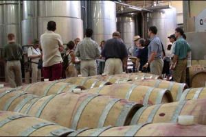 ENOTURISMO STRADA VINCENTE, MA SERVE UN’IDENTITÀ TERRITORIALE FORTE E SUPERARE LE FRAMMENTAZIONI, ALTRIMENTI SI RISCHIA DI ESSERE INVISIBILI NEL MERCATO GLOBALE. LE POTENZIALITÀ DEL TURISMO DEL VINO: 8 MILIONI DI TURISTI E 4 MILIARDI DI FATTURATO