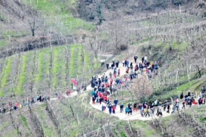 L&rsquo;ENOTURISTA MODERNO: GIOVANE, INDIPENDENTE (GRAZIE A INTERNET), &ldquo;COSTANTE&rdquo; IN TUTTO L&rsquo;ANNO, A CACCIA DI DEGUSTAZIONI E PI&Ugrave; &ldquo;FACOLTOSO&rdquo; DELLA MEDIA NAZIONALE. L&rsquo;IDENTIKIT NELLA RICERCA &ldquo;IL VOLTO DELL&rsquo;ENOTURISTA OGGI&rdquo; BY MOVIMENTO TURISMO VINO ...