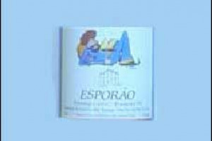 Notiziario dall&#8217;estero: il Petrus inguaia manager della Barclays Capital, squadre anti-frode a Bordeaux, richiamate in azienda (la portoghese Esporao) bottiglie con etichetta d'artista: nell'immagine Bin Laden ?di Michèle Shah