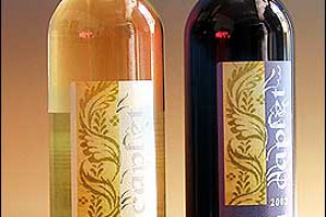 IL VINO, UN AMICO NEL SEGNO DELLA SOLIDARIETÀ E NELL&#8217;ANNO EUROPEO DELLE PERSONE DELLA DISABILITÀ. E COSI&#8217;, DAL 2 AL 7 SETTEMBRE, A CASTEGGIO, IN OLTREPO&#8217; PAVESE, TANTI IDEE ENOSOLIDALI !