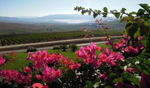 Colture e culture diverse disegnano il paesaggio di Sicilia, dalle coste bagnate dal Mediterraneo alle colline alla cima del vulcano Etna