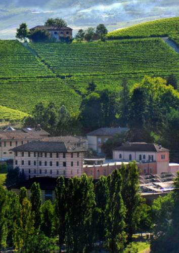 Fontandafredda, uno dei più grandi vigneti in corpo unico delle Langhe