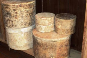 TuttoFood - Non solo leader nel vino: l’Italia è il primo paese fornitore negli Stati Uniti anche per i formaggi, con 34.894 tonnellate e 280 milioni di euro nel 2016. Ecco i dati Usa diffusi dall’Ice e analizzate da Alleanza Cooperative